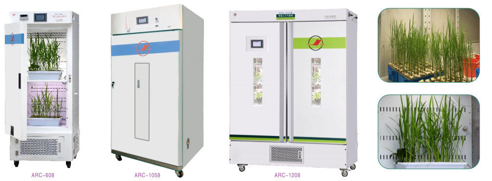 寧波江南儀器廠_人工氣候培養(yǎng)箱,光照培養(yǎng)箱,植物生長(zhǎng)培養(yǎng)類箱體